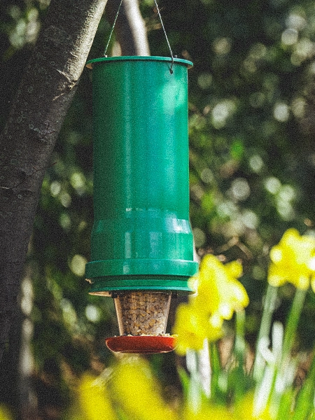 Montiertes Schnabelgoldprodukt in der Natur, Variante 1; Kacheldarstellung
